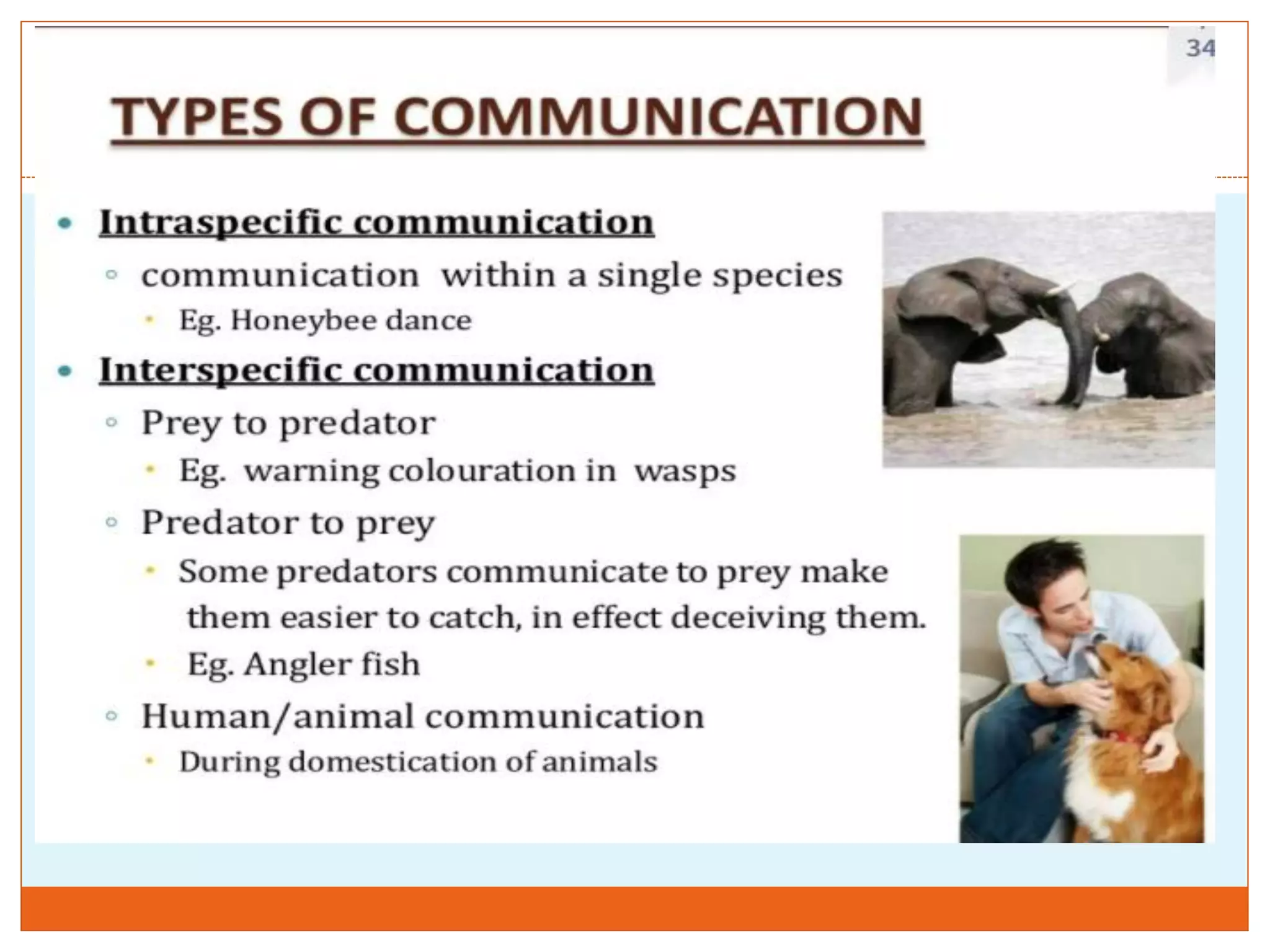 Communication in Animals