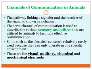 Communication in Animals | PDF
