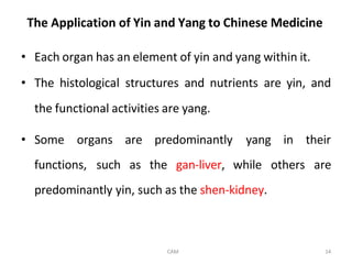 Comprehensive Overview of Traditional Chinese Medicine Principles and ...