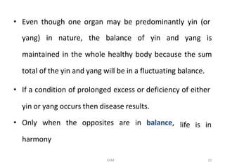 Comprehensive Overview of Traditional Chinese Medicine Principles and ...