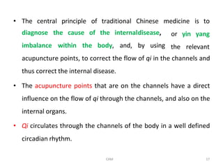 Comprehensive Overview of Traditional Chinese Medicine Principles and ...