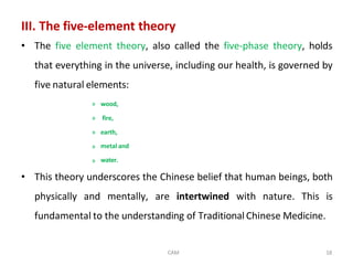 Comprehensive Overview of Traditional Chinese Medicine Principles and ...