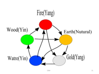 Comprehensive Overview of Traditional Chinese Medicine Principles and ...
