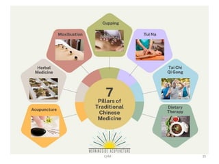 Comprehensive Overview of Traditional Chinese Medicine Principles and ...