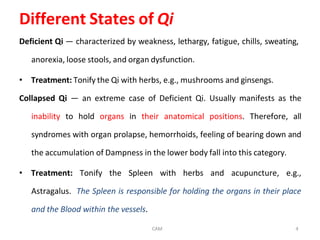Comprehensive Overview of Traditional Chinese Medicine Principles and ...