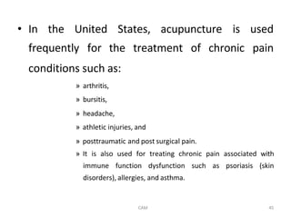 Comprehensive Overview of Traditional Chinese Medicine Principles and ...