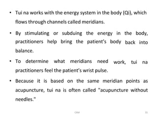 Comprehensive Overview of Traditional Chinese Medicine Principles and ...