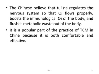 Comprehensive Overview of Traditional Chinese Medicine Principles and ...