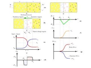 nno
x
x = 0
pno
ppo
npo
log(n), log(p)
-eNa
eNd
M
x
E ( x)
B-
h+
p n
M
As+
e–
Wp Wn
Neutral n-regionNeutral p-region
Space charge region
Vo
V(x)
x
PE(x)
Electron PE(x)
Metallurgical Junction
( a)
( b )
( c)
( e)
( f )
x
–Wp
Wn
( d )
0
eVo
x ( g )
–eVo
Hole PE(x)
–Eo
Eo
M
rnet
M
Wn–Wp
ni
 