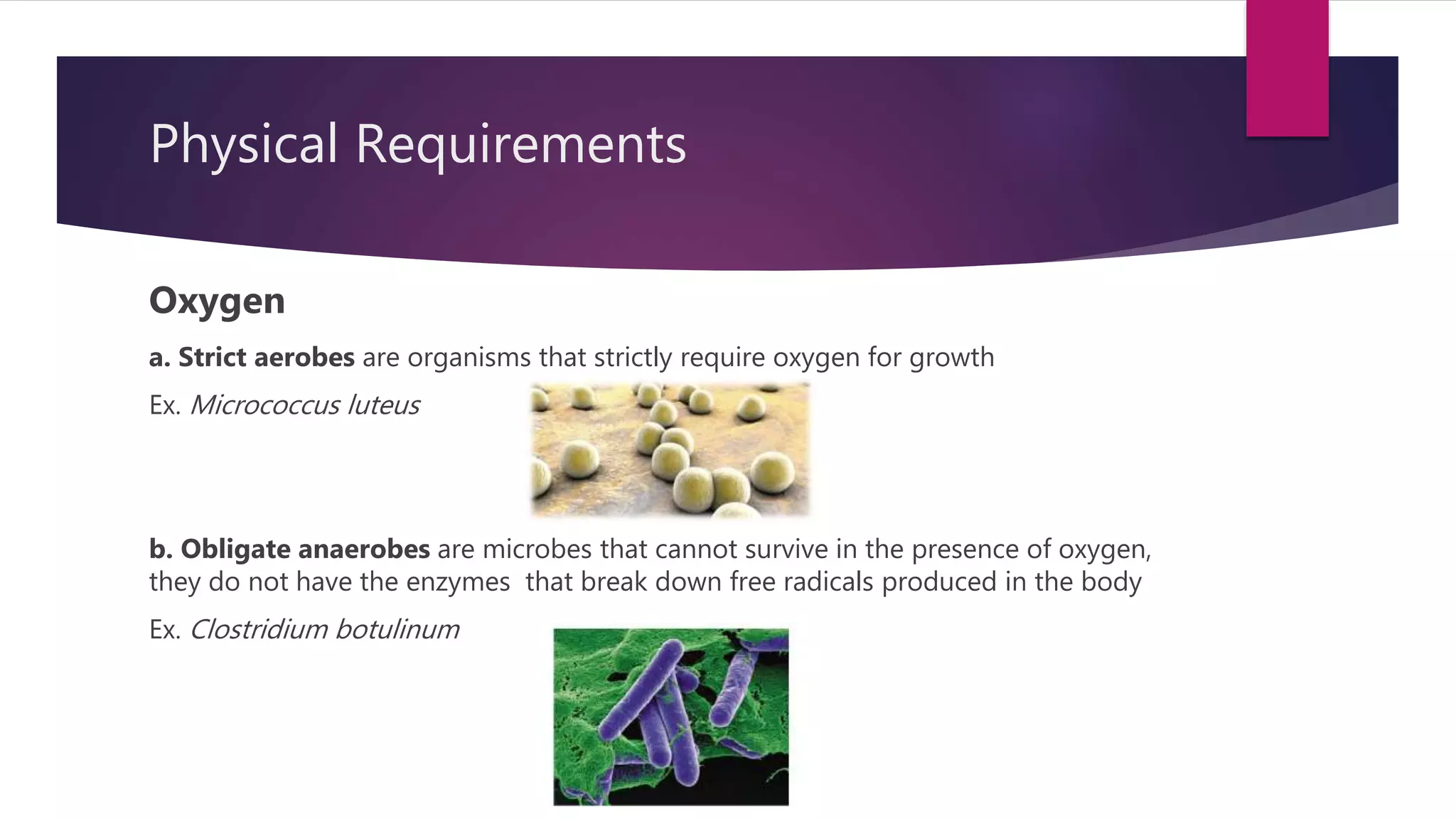 Chapter 4 Bacterial Growth Requirements | PPTX