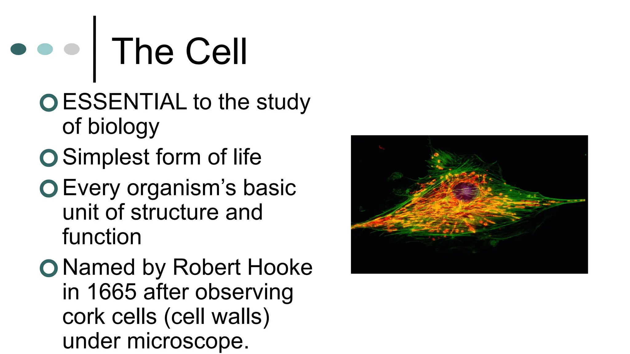 Chapter 4 Biology cell organelles and functions | PPTX