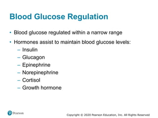 Copyright © 2020 Pearson Education, Inc. All Rights Reserved
Blood Glucose Regulation
• Blood glucose regulated within a narrow range
• Hormones assist to maintain blood glucose levels:
– Insulin
– Glucagon
– Epinephrine
– Norepinephrine
– Cortisol
– Growth hormone
 