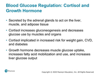 Copyright © 2020 Pearson Education, Inc. All Rights Reserved
Blood Glucose Regulation: Cortisol and
Growth Hormone
• Secreted by the adrenal glands to act on the liver,
muscle, and adipose tissue
• Cortisol increases gluconeogenesis and decreases
glucose use by muscles and organs
• Cortisol implicated in increased risk for weight gain, CVD,
and diabetes
• Growth hormone decreases muscle glucose uptake,
increases fatty acid mobilization and use, and increases
liver glucose output
 