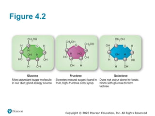 Copyright © 2020 Pearson Education, Inc. All Rights Reserved
Figure 4.2
 