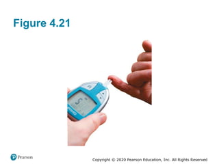 Copyright © 2020 Pearson Education, Inc. All Rights Reserved
Figure 4.21
 