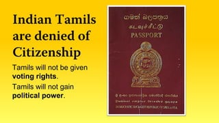 Chapter 4 - Causes of Sri Lanka Conflict | PDF