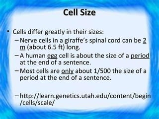 Cell Size
• Cells differ greatly in their sizes:
   – Nerve cells in a giraffe’s spinal cord can be 2
     m (about 6.5 ft) long.
   – A human egg cell is about the size of a period
     at the end of a sentence.
   – Most cells are only about 1/500 the size of a
     period at the end of a sentence.

  – http://learn.genetics.utah.edu/content/begin
    /cells/scale/
 