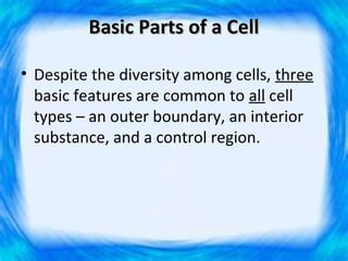 Basic Parts of a Cell

• Despite the diversity among cells, three
  basic features are common to all cell
  types – an outer boundary, an interior
  substance, and a control region.
 