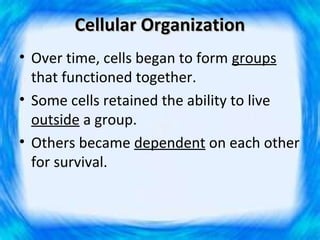Cellular Organization
• Over time, cells began to form groups
  that functioned together.
• Some cells retained the ability to live
  outside a group.
• Others became dependent on each other
  for survival.
 