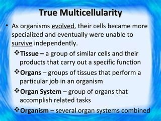 True Multicellularity
• As organisms evolved, their cells became more
  specialized and eventually were unable to
  survive independently.
   Tissue – a group of similar cells and their
     products that carry out a specific function
   Organs – groups of tissues that perform a
     particular job in an organism
   Organ System – group of organs that
     accomplish related tasks
   Organism – several organ systems combined
 
