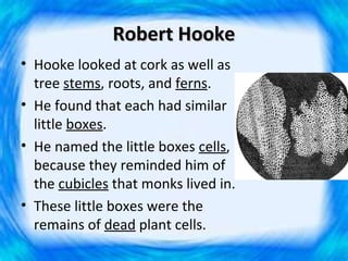 Robert Hooke
• Hooke looked at cork as well as
  tree stems, roots, and ferns.
• He found that each had similar
  little boxes.
• He named the little boxes cells,
  because they reminded him of
  the cubicles that monks lived in.
• These little boxes were the
  remains of dead plant cells.
 