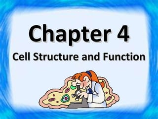 Chapter 4
Cell Structure and Function
 