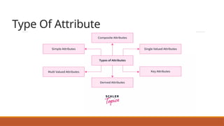 Type Of Attribute
 