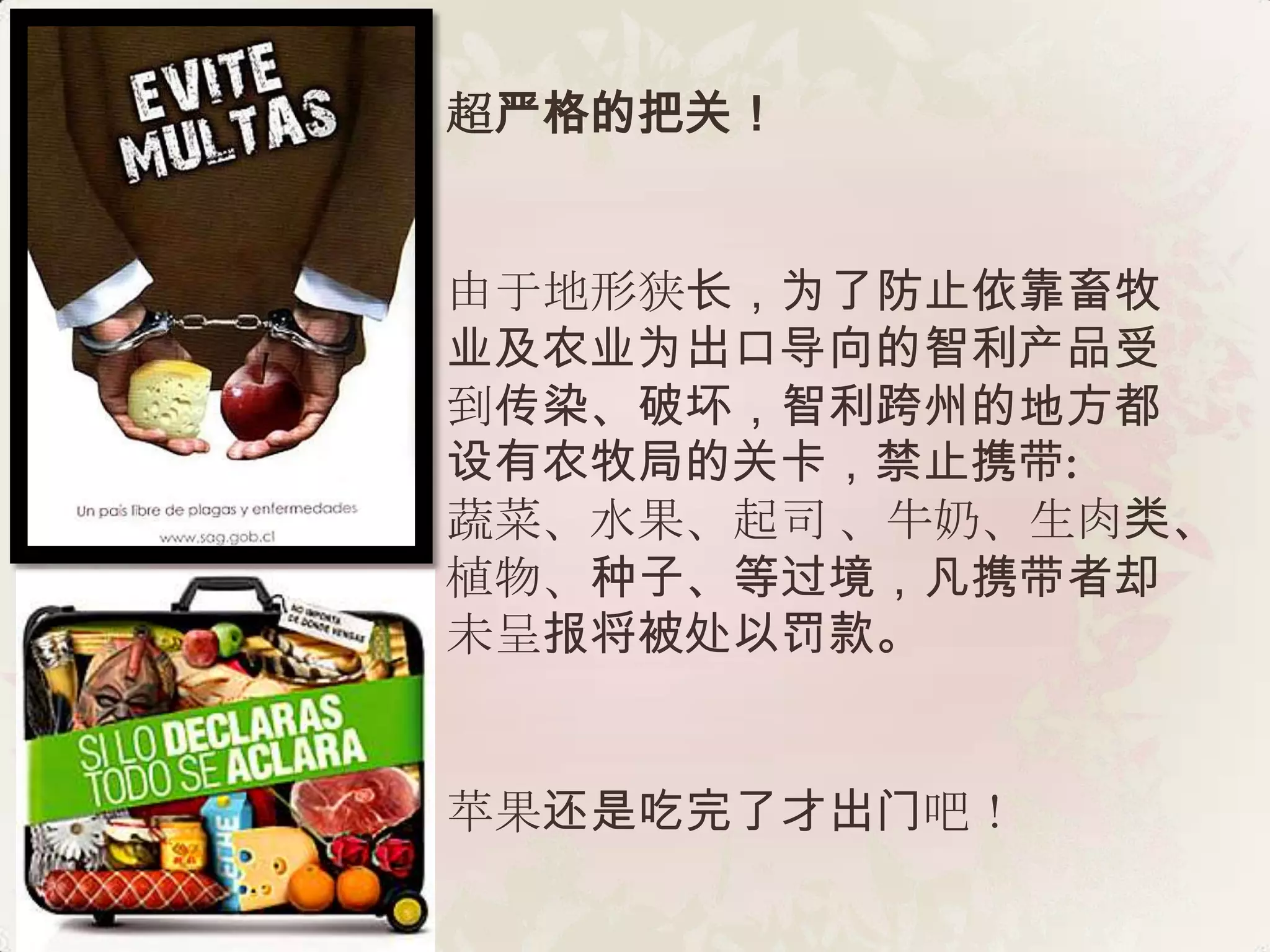 超严格的把关！


由于地形狭长，为了防止依靠畜牧
业及农业为出口导向的智利产品受
到传染、破坏，智利跨州的地方都
设有农牧局的关卡，禁止携带:
蔬菜、水果、起司 、牛奶、生肉类、
植物、种子、等过境，凡携带者却
未呈报将被处以罚款。


苹果还是吃完了才出门吧！
 