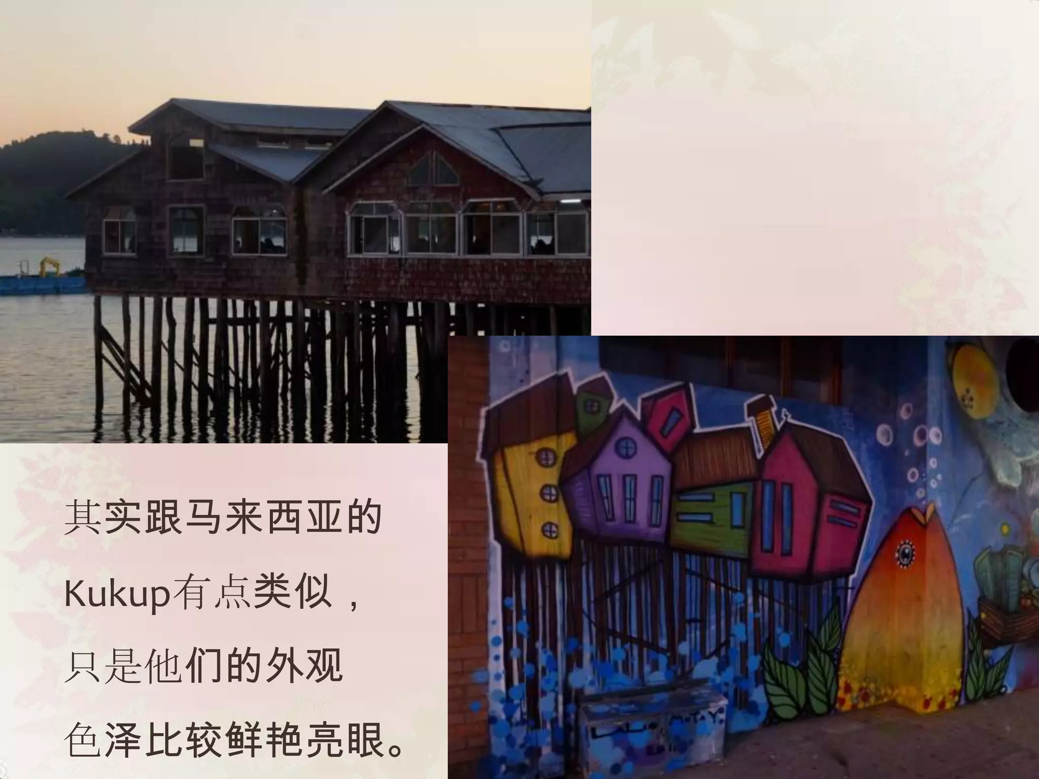 其实跟马来西亚的
Kukup有点类似，
只是他们的外观
色泽比较鲜艳亮眼。
 