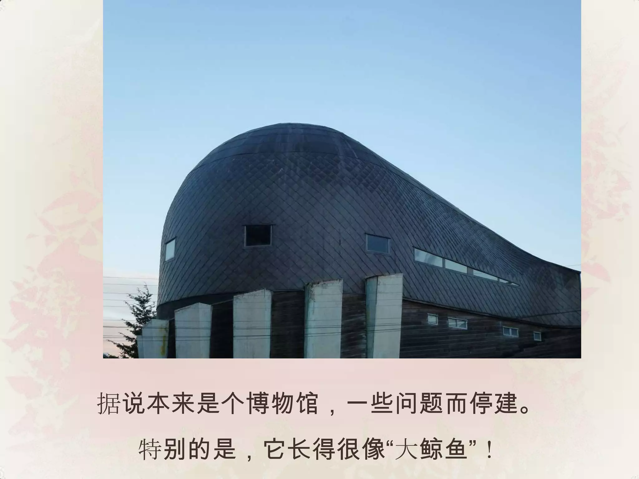 据说本来是个博物馆，一些问题而停建。
 特别的是，它长得很像“大鲸鱼”！
 