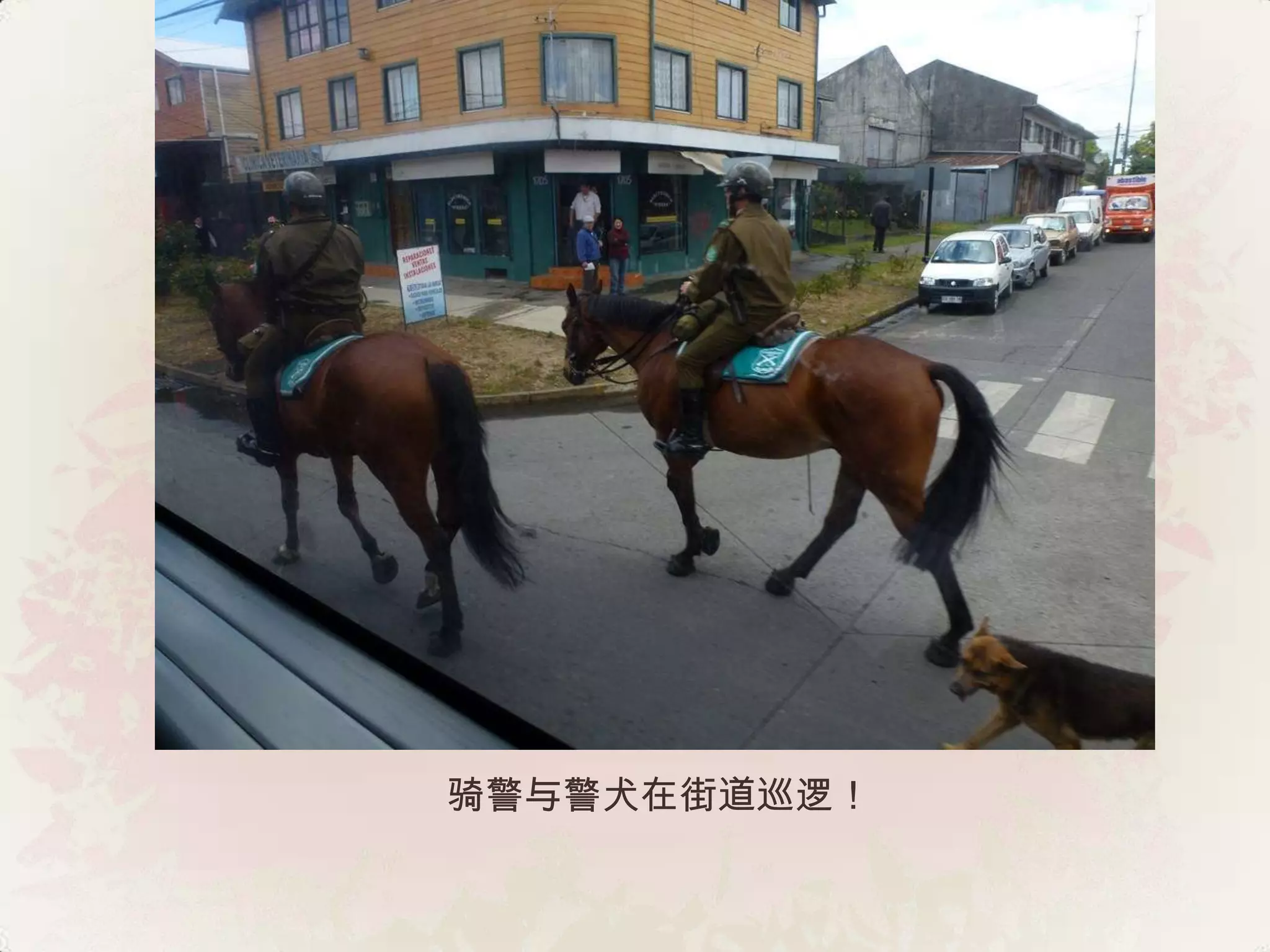 骑警与警犬在街道巡逻！
 