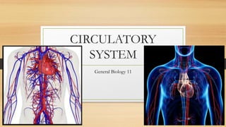 CIRCULATORY
SYSTEM
General Biology 11
 