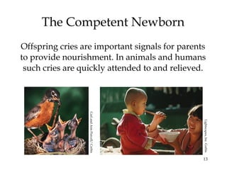 13
The Competent Newborn
Offspring cries are important signals for parents
to provide nourishment. In animals and humans
such cries are quickly attended to and relieved.
CarlandAnnPurcell/Corbis
Lightscapes,Inc.Corbis
 