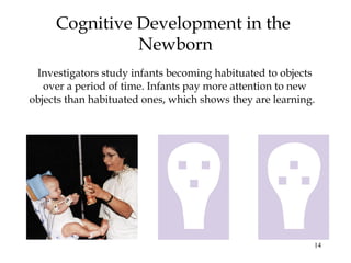 14
Cognitive Development in the
Newborn
Investigators study infants becoming habituated to objects
over a period of time. Infants pay more attention to new
objects than habituated ones, which shows they are learning.
 