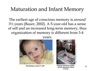20
Maturation and Infant Memory
The earliest age of conscious memory is around
3½ years (Bauer, 2002). A 5-year-old has a sense
of self and an increased long-term memory, thus
organization of memory is different from 3-4
years.
AmyPedersen
CourtesyofCarolynRovee-Collier
 