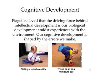 21
Cognitive Development
Piaget believed that the driving force behind
intellectual development is our biological
development amidst experiences with the
environment. Our cognitive development is
shaped by the errors we make.
Bothphotos:CourtesyofJudyDeLoache
 