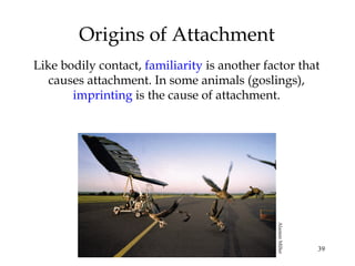 39
Origins of Attachment
Like bodily contact, familiarity is another factor that
causes attachment. In some animals (goslings),
imprinting is the cause of attachment.
AlastairMiller
 