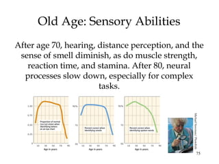 75
Old Age: Sensory Abilities
After age 70, hearing, distance perception, and the
sense of smell diminish, as do muscle strength,
reaction time, and stamina. After 80, neural
processes slow down, especially for complex
tasks.
MichaelNewman/PhotoEdit
 