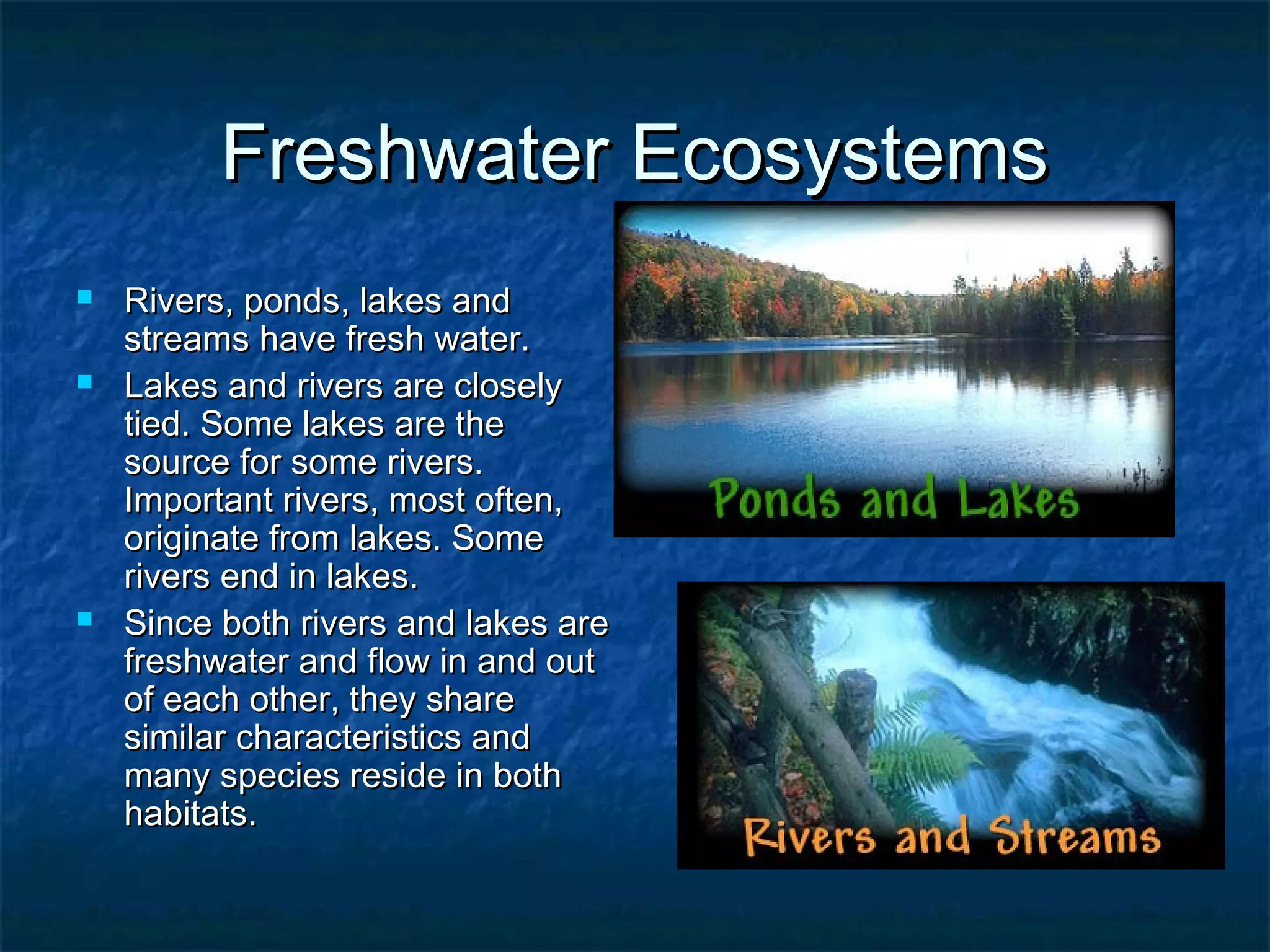 Freshwater EcosystemsFreshwater Ecosystems
 Rivers, ponds, lakes andRivers, ponds, lakes and
streams have fresh water.streams have fresh water.
 Lakes and rivers are closelyLakes and rivers are closely
tied. Some lakes are thetied. Some lakes are the
source for some rivers.source for some rivers.
Important rivers, most often,Important rivers, most often,
originate from lakes. Someoriginate from lakes. Some
rivers end in lakes.rivers end in lakes.
 Since both rivers and lakes areSince both rivers and lakes are
freshwater and flow in and outfreshwater and flow in and out
of each other, they shareof each other, they share
similar characteristics andsimilar characteristics and
many species reside in bothmany species reside in both
habitats.habitats.
 