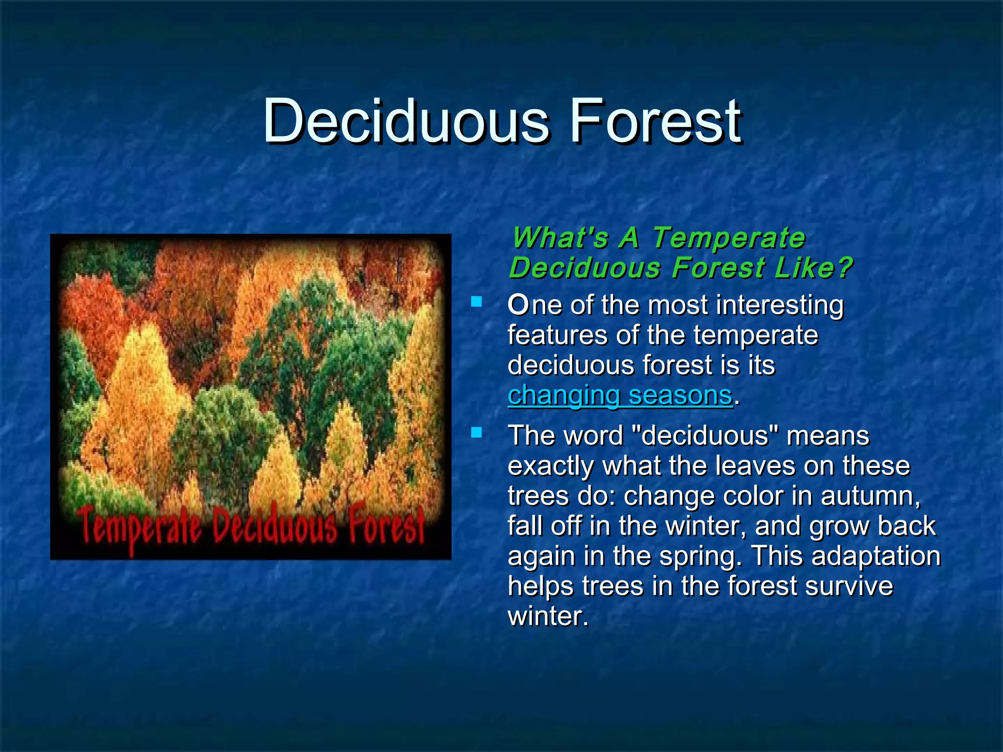 Deciduous ForestDeciduous Forest
What's A TemperateWhat's A Temperate
Deciduous Forest Like?Deciduous Forest Like?
 OOne of the most interestingne of the most interesting
features of the temperatefeatures of the temperate
deciduous forest is itsdeciduous forest is its
changing seasonschanging seasons..
 The word "deciduous" meansThe word "deciduous" means
exactly what the leaves on theseexactly what the leaves on these
trees do: change color in autumn,trees do: change color in autumn,
fall off in the winter, and grow backfall off in the winter, and grow back
again in the spring. This adaptationagain in the spring. This adaptation
helps trees in the forest survivehelps trees in the forest survive
winter.winter.
 