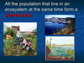 All the population that live in anAll the population that live in an
ecosystem at the same time form aecosystem at the same time form a
community.community.
 