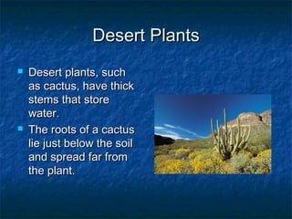 Desert PlantsDesert Plants
 Desert plants, suchDesert plants, such
as cactus, have thickas cactus, have thick
stems that storestems that store
water.water.
 The roots of a cactusThe roots of a cactus
lie just below the soillie just below the soil
and spread far fromand spread far from
the plant.the plant.
 