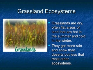 Grassland EcosystemsGrassland Ecosystems
 Grasslands are dry,Grasslands are dry,
often flat areas ofoften flat areas of
land that are hot inland that are hot in
the summer and coldthe summer and cold
in the winter.in the winter.
 They get more rainThey get more rain
and snow thanand snow than
deserts but less thatdeserts but less that
most othermost other
ecosystems.ecosystems.
 