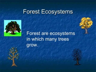 Forest EcosystemsForest Ecosystems
Forest are ecosystems
in which many trees
grow.
 