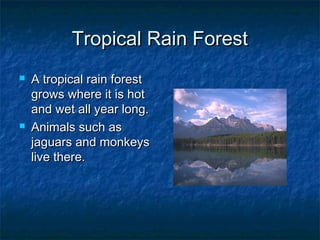 Tropical Rain ForestTropical Rain Forest
 A tropical rain forestA tropical rain forest
grows where it is hotgrows where it is hot
and wet all year long.and wet all year long.
 Animals such asAnimals such as
jaguars and monkeysjaguars and monkeys
live there.live there.
 