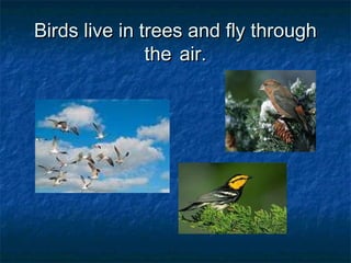 Birds live in trees and fly throughBirds live in trees and fly through
thethe air.air.
 