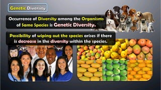  environmental management  full notes ssc class 10th