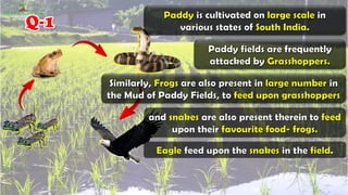  environmental management  full notes ssc class 10th