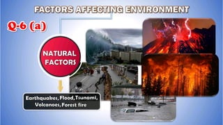  environmental management  full notes ssc class 10th