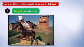  environmental management  full notes ssc class 10th